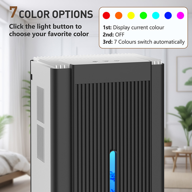 CT11 black and white